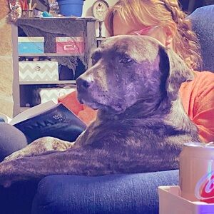 Meet your Posher, Jenalee